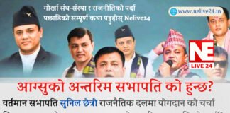 आग्सु (AAGSU) नेतृत्वको भित्री समीकरण: अन्तरिम सभापति को ! र नदुवारमा सुनिल छेत्री ! | Nelive24 Special